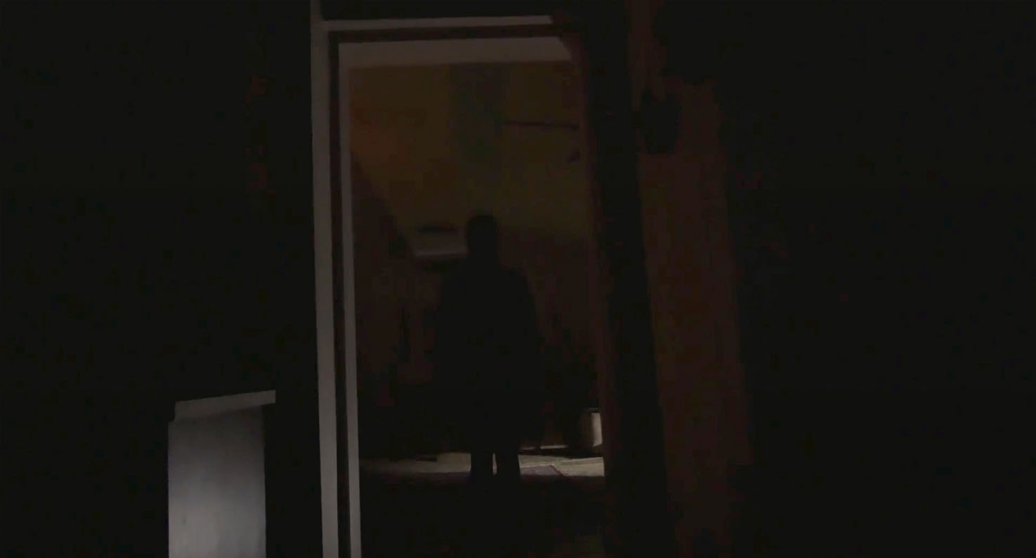 Real Cases of Shadow People: The Sarah McCormick Story (2019)