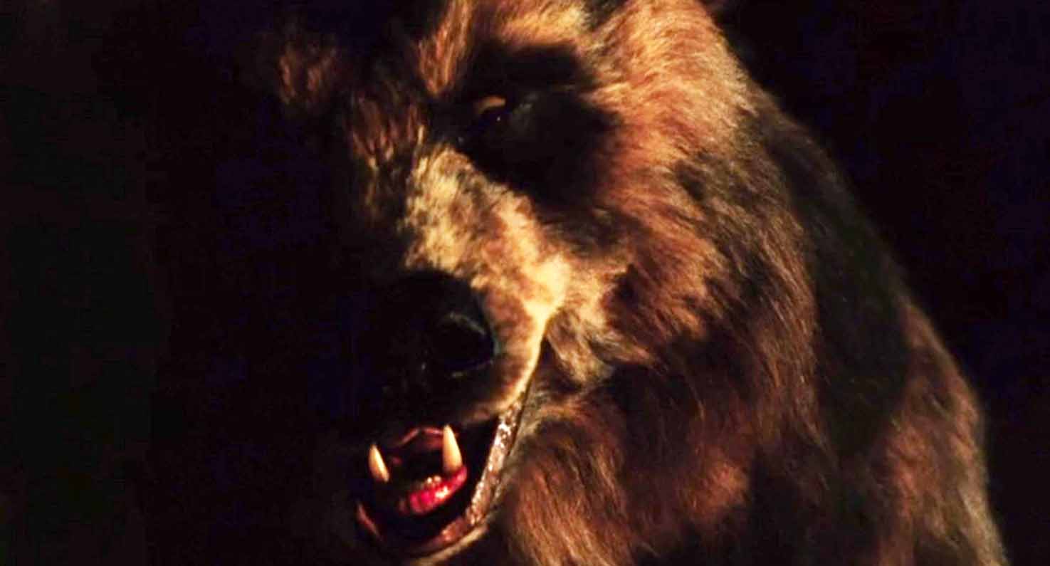 Grizzly II: The Revenge (1983)